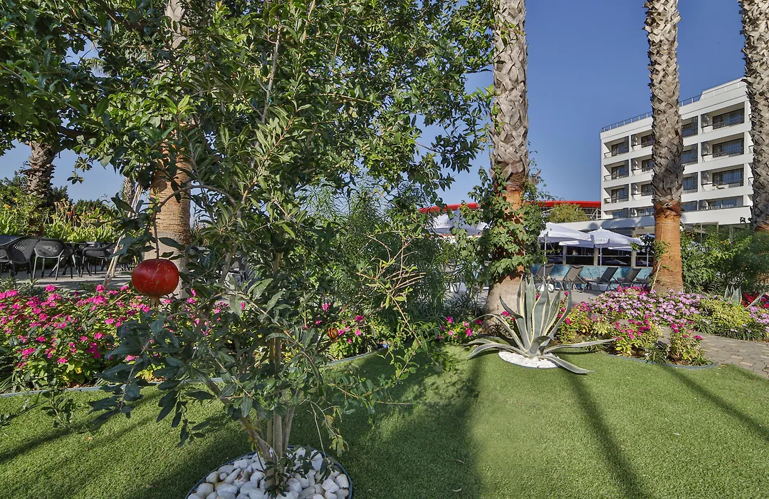 Nashira City Resort Hotel-1